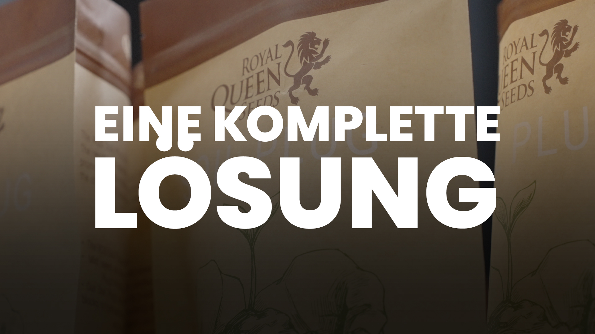 Video ansehen